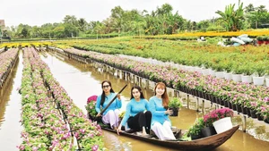 Visitors tour the Sa Dec flower village.