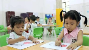(Illustrative photo: DUY LINH)
