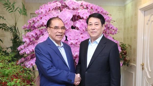 State President Luong Cuong (R) and former Party General Secretary Nong Duc Manh in Ha Noi on February 2. (Photo: VNA)