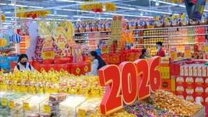 Tet goods on display at the GO! Can Tho supermarket. (Photo: VNA)