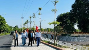 The new rural look of Thanh Tri District.