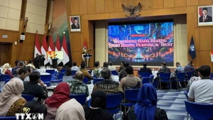 The overview of the seminar (Source: VNA)