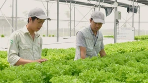 In 2025, fruit and vegetable export turnover surpassed 8.5 billion USD for the first time, rising by nearly 20 percent thanks to deep processing strategies and market opening.