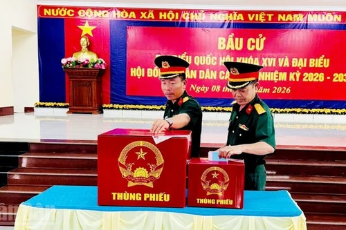 Members of the armed forces stationed in the Tho Chau Special Zone participate in the early voting.