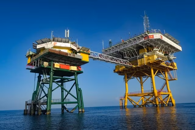 New vitality for DK1 Platforms in new spring ảnh 15