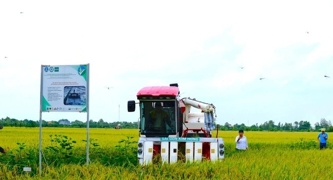 Harvesting rice in the pilot model of the one-million-hectare rice project in Lang Bien commune, Thap Muoi district, Dong Thap province (Photo: tuoitre.vn) base64-17484266072841897131447.jpg