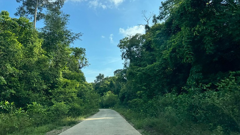 To reach the summit of Chua Mountain, one must trek through more than 15 kilometres of forest.