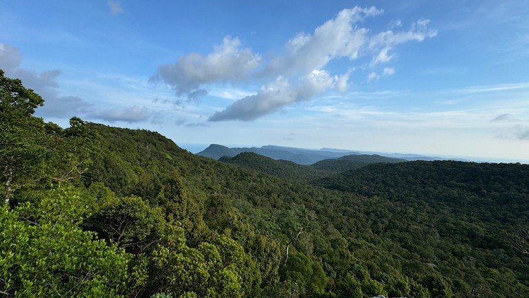 From the peak of Chua Mountain, Phu Quoc National Park appears like a magnificent, vast natural painting.