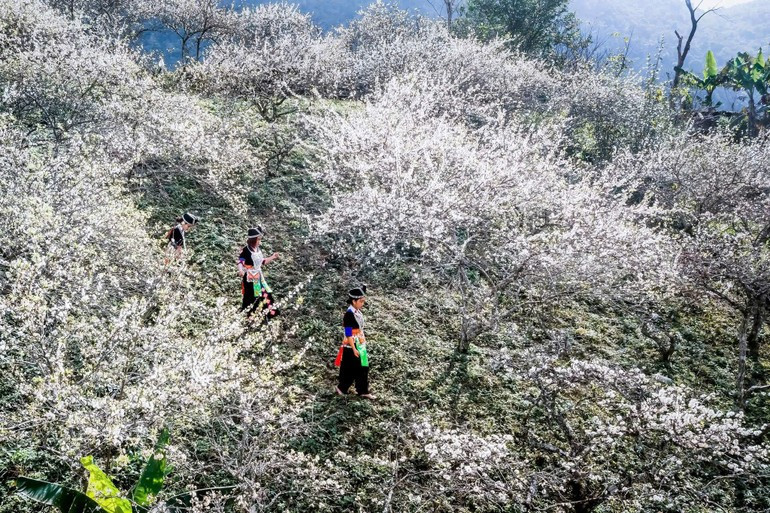 With stunning natural landscapes, Muong Long become an attractive destination for visitors. (Photo: Nhat Thanh) 1-1-1-4496-9689.jpg