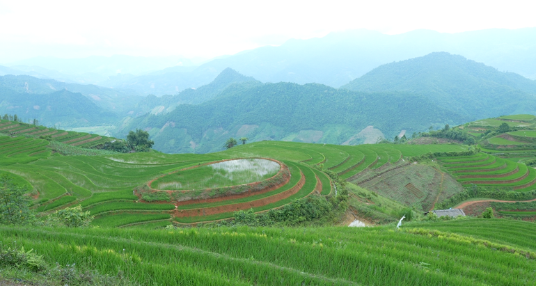 92 households in Khe Tau village have reclaimed nearly 27 hectares of land, crafting breathtaking terraces ruong-bac-thang-khe-tau-1-7748-510.jpg
