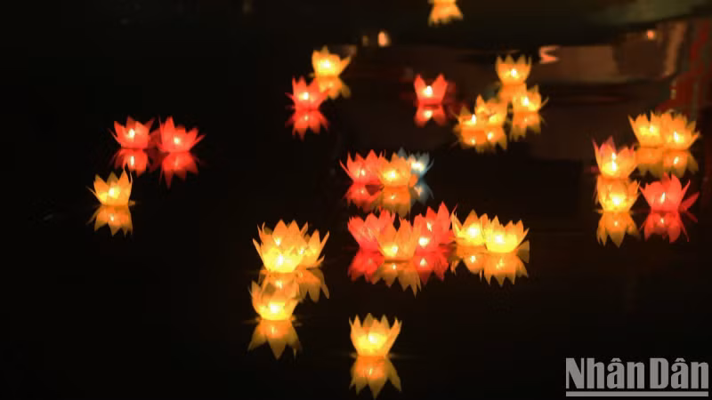 This was not only a sacred occasion for monks, nuns, and Buddhist followers, but also a symbol of peace and compassion spreading among the community.