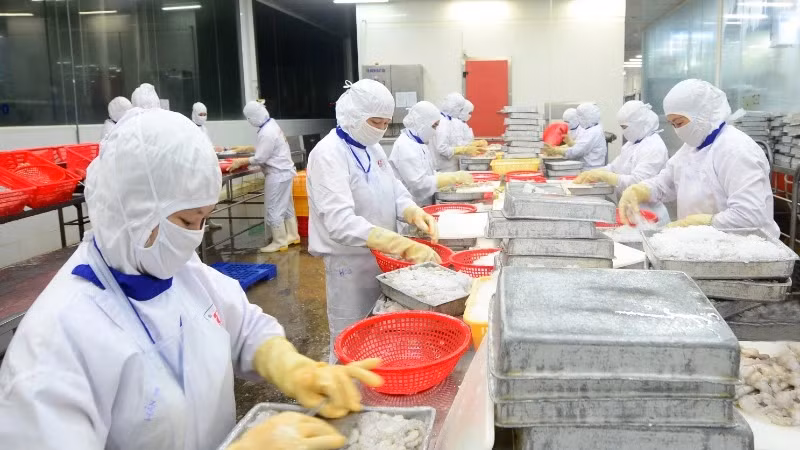 Vietnamese seafood are widely available in global retail systems