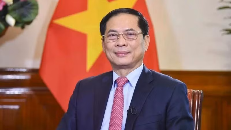 Deputy Prime Minister Bui Thanh Son will lead the task force. (Photo: VNA)