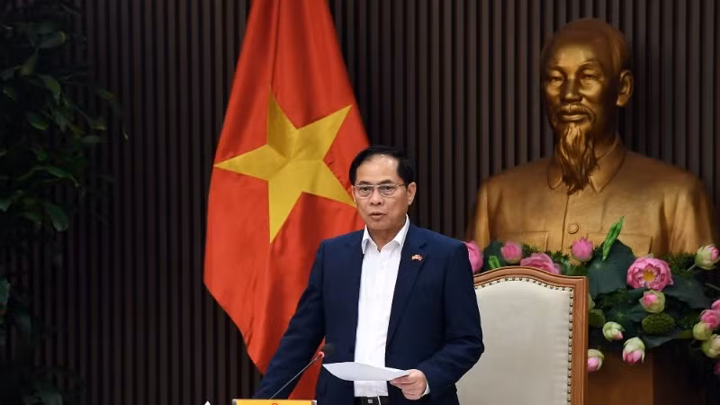 Deputy Prime Minister cum Minister of Foreign Affairs Bui Thanh Son delivers a speech at the meeting. (Photo: VGP)