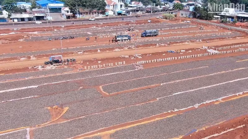 Businesses use vacant land as yards to dry cashew. (Photo: NDO)
