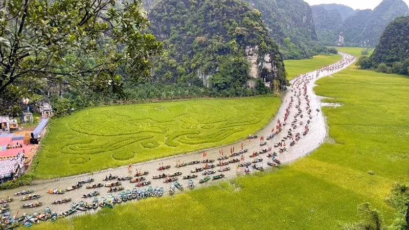 The rice fields of Tam Coc transformed into a rice artwork titled "Carp Leaping over the Dragon Gate".