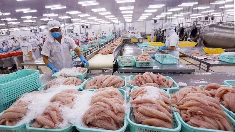 The agricultural sector continues to build on positive momentum, advancing steadily towards the 65 billion USD export target.
