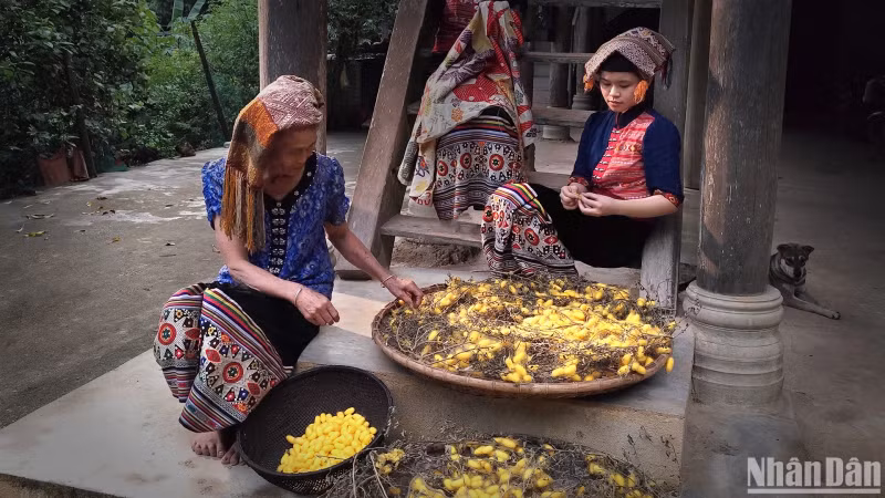 The enduring value of a traditional craft. (Photo: VU LINH) The enduring value of a traditional craft. (Photo: VU LINH)