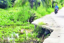 New erosion points along a rural road in Trung Doan Hamlet, An Minh Bac Commune, U Minh Thuong District, Kien Giang Province.