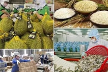 The agricultural sector is targeting a total export turnover of 65 billion USD in 2025.