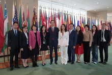 The Viet Nam delegation attends the vote. (Photo: VNA)
