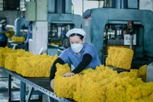 Rubber processing for export at Phuoc Hoa Rubber Joint Stock Company, Binh Duong Province. (Photo: Dao Phong)