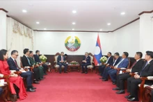 Lao Deputy Prime Minister and Minister of Foreign Affairs Thongsavan Phomvihane and Vietnamese Ambassador to Laos Nguyen Minh Tam at their meeting on March 23 (Photo: VNA)
