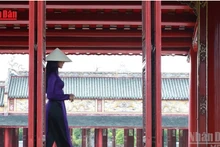 Video: Viet Nam listed among the 28 most beautiful countries in the world