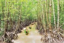 The protective forest at Ca Mau Cape — a “green wall” helping to mitigate the extremity of climate change. (Photo: Photographer Phuong Bang)