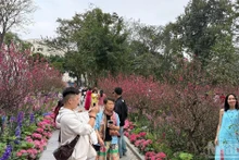 Visitors take photos with peach blossoom by Hoan Kiem Lake.