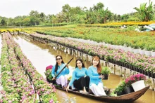 Visitors tour the Sa Dec flower village.