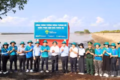 An overview of the ceremony