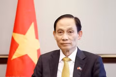 Minister of Foreign Affairs Le Hoai Trung (Photo: VNA)