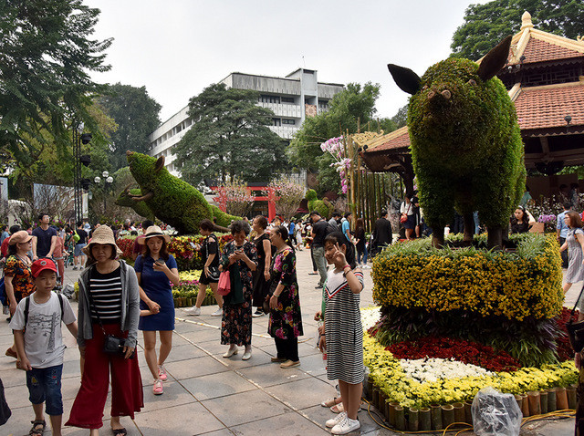 2019 Japanese cherry blossom festival opens in Hanoi ảnh 5
