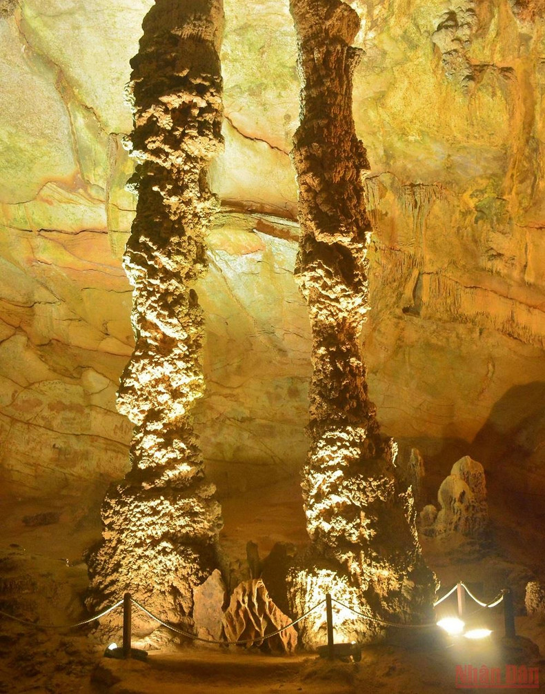 Phong Nha Cave kayak tours at night offer new experience ảnh 5