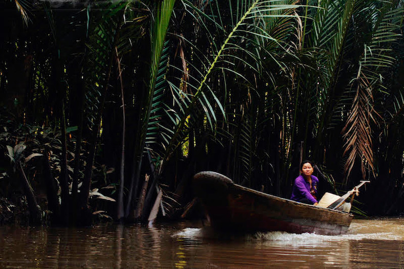 Two green oases on Tien River ảnh 3 Two green oases on Tien River ảnh 3
