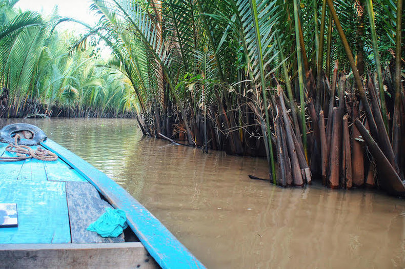 Two green oases on Tien River ảnh 6 Two green oases on Tien River ảnh 6