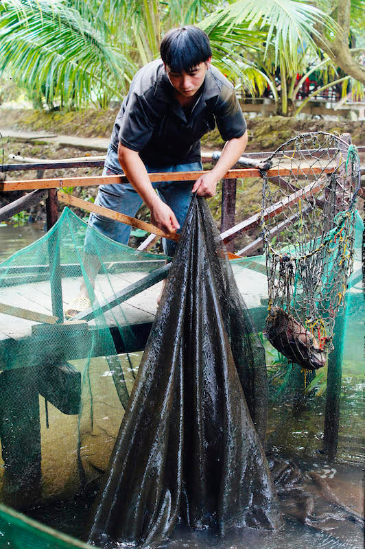 Two green oases on Tien River ảnh 8 Two green oases on Tien River ảnh 8