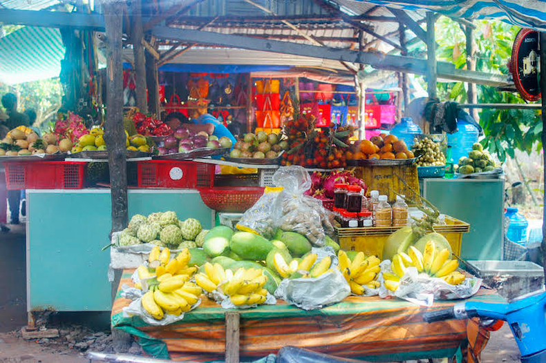 Two green oases on Tien River ảnh 4 Two green oases on Tien River ảnh 4