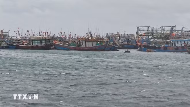 Local authorities are asked to track ships and vessels, and direct them to safe shelters. (Photo: VNA)