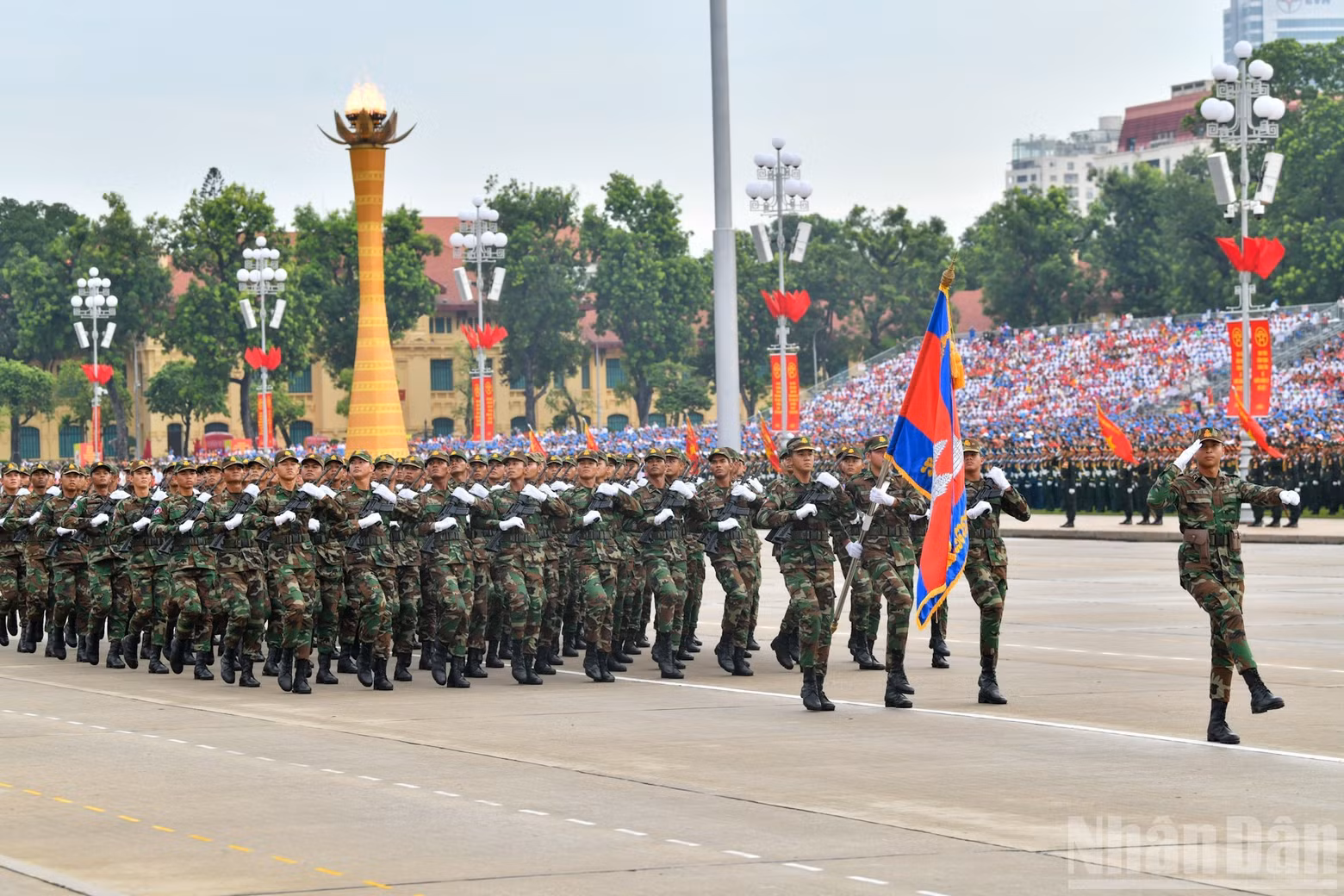 dieu-binh-9.jpg