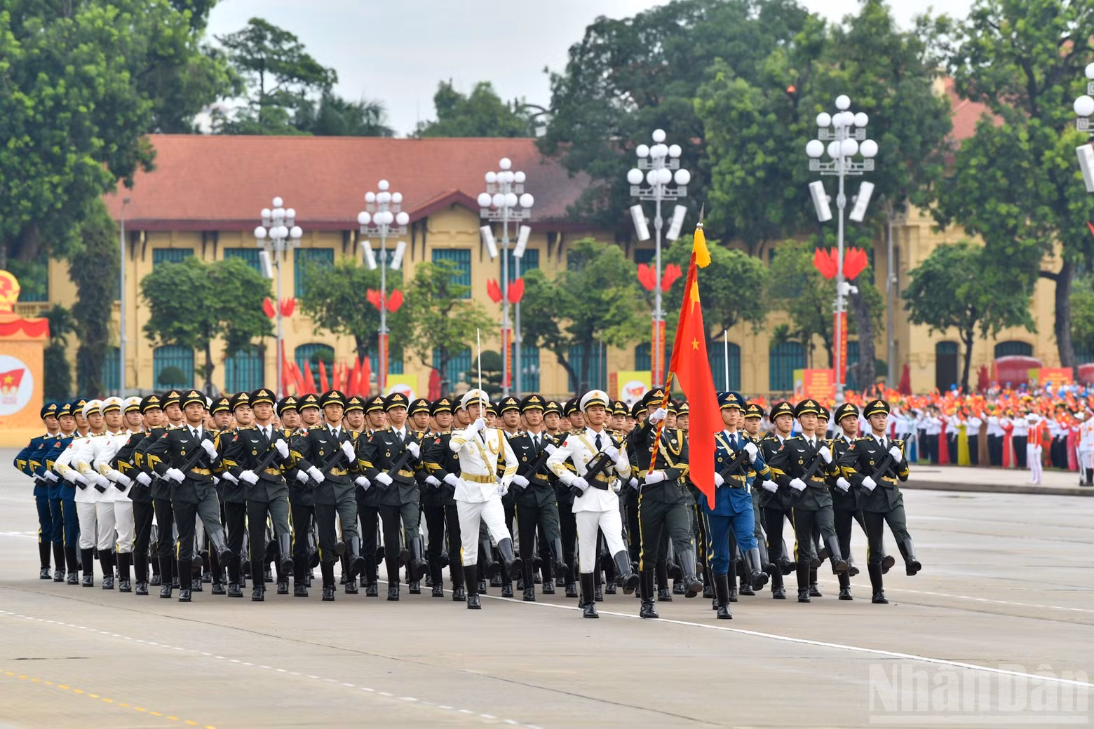 dieu-binh-1.jpg