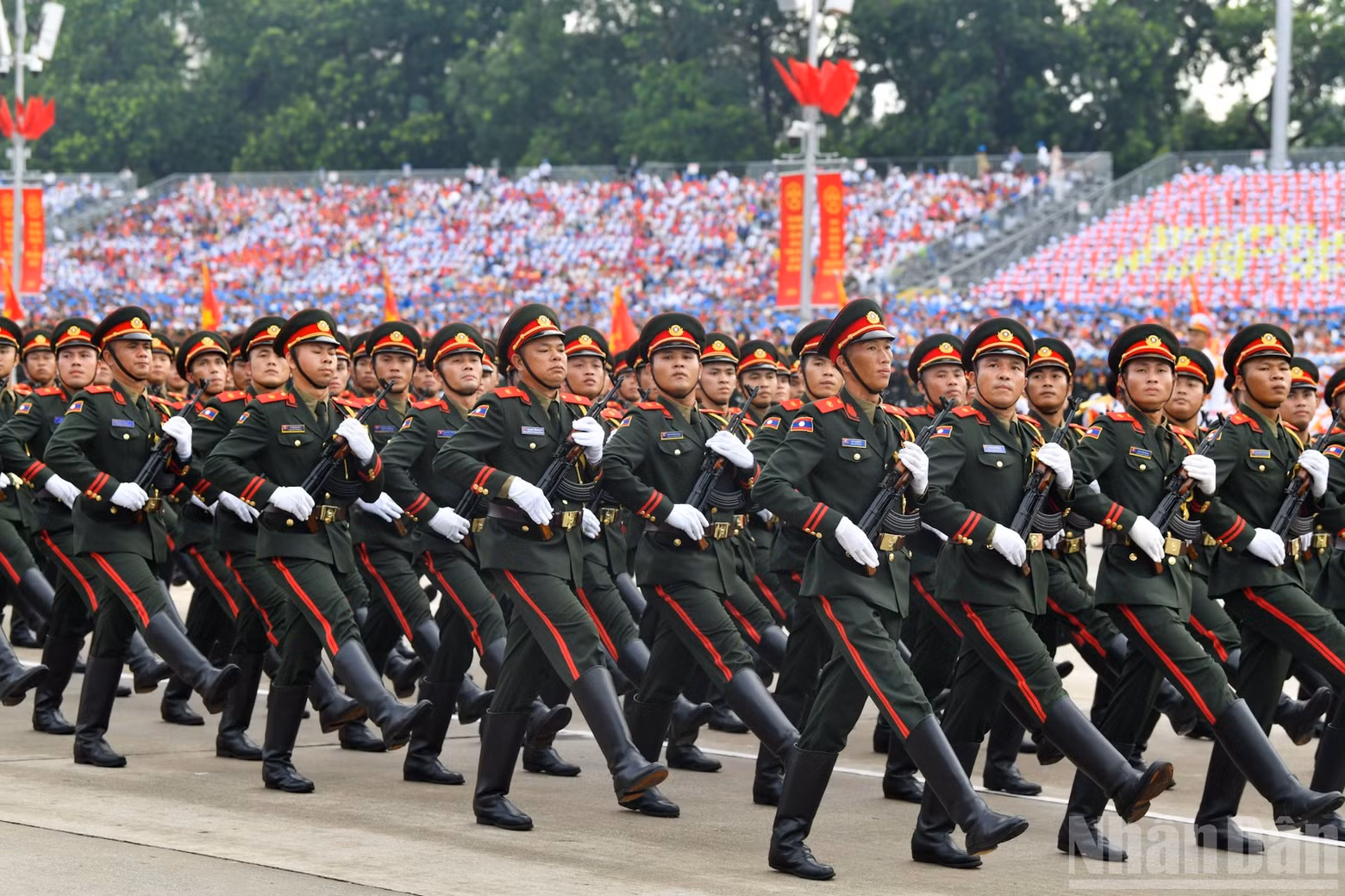 dieu-binh-8.jpg
