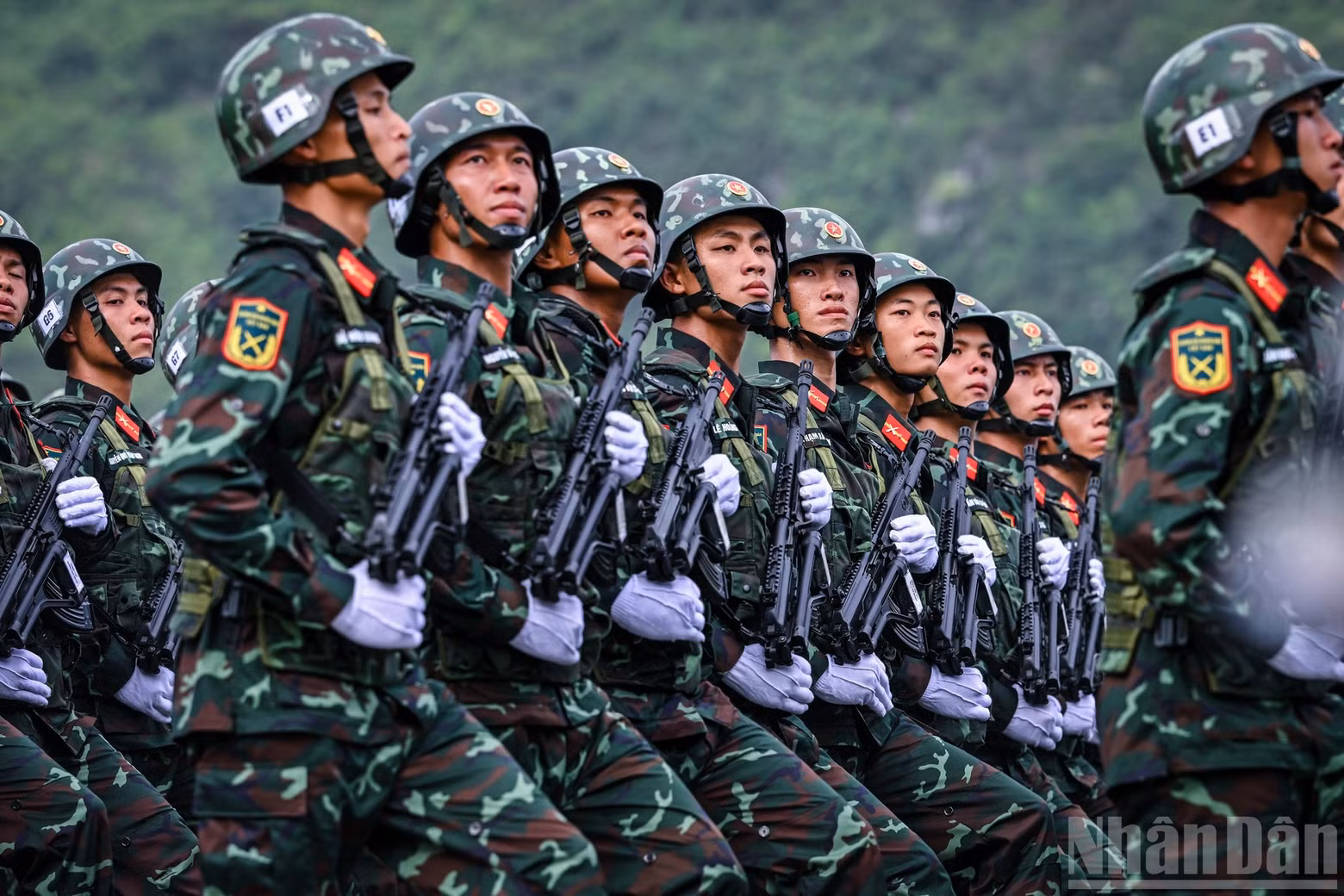 dieu-binh-15.jpg