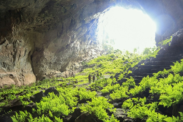  Quang Binh opens tours to world's 4th largest Pygmy Cave ảnh 3