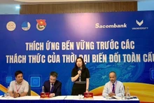 Deputy Minister of Foreign Affairs Le Thi Thu Hang speaks at the meeting