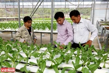 Technological solutions from Hachi Viet Nam High-Tech Joint Stock Company help farmers cut costs, conserve resources, and reduce greenhouse gas emissions (Photo: Viet Nam Pictorial)