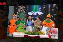 Miss Thuy Tien, Hang Du Muc and Quang Linh Vlogs recently sanctioned by the authorities for livestream sales promoting counterfeit products. (Photo: nhandan.vn)