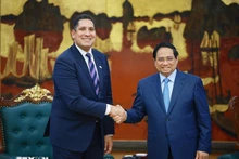 Prime Minister Pham Minh Chinh receives Swedish Ambassador to Viet Nam Johan Ndisi in Ha Noi on January 30, 2026. (Photo: VNA)