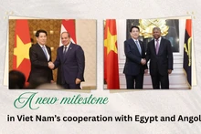 A new milestone in Viet Nam’s cooperation with Egypt and Angola